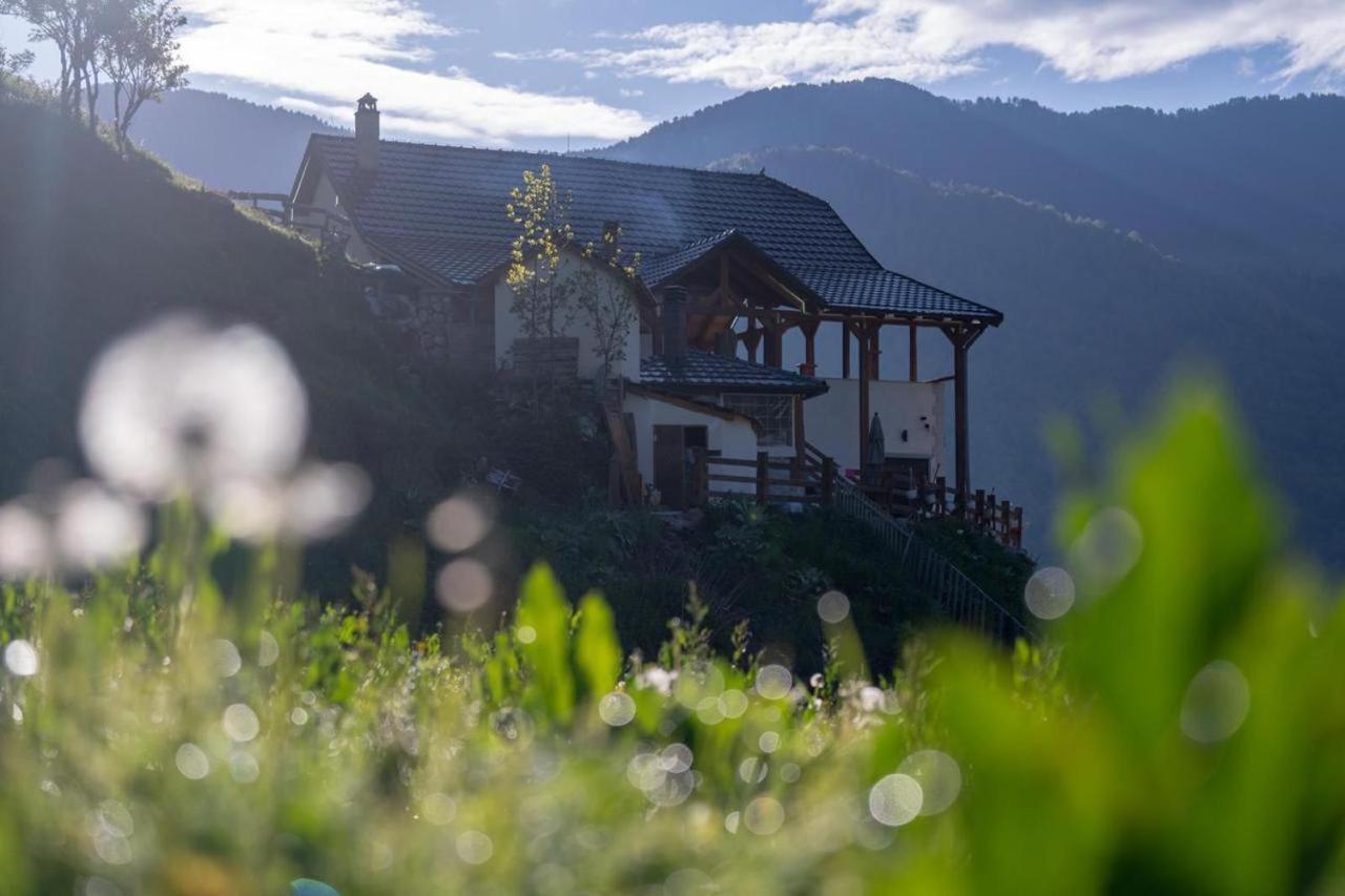Zeneli Alpin Chalet Cerem Екстериор снимка
