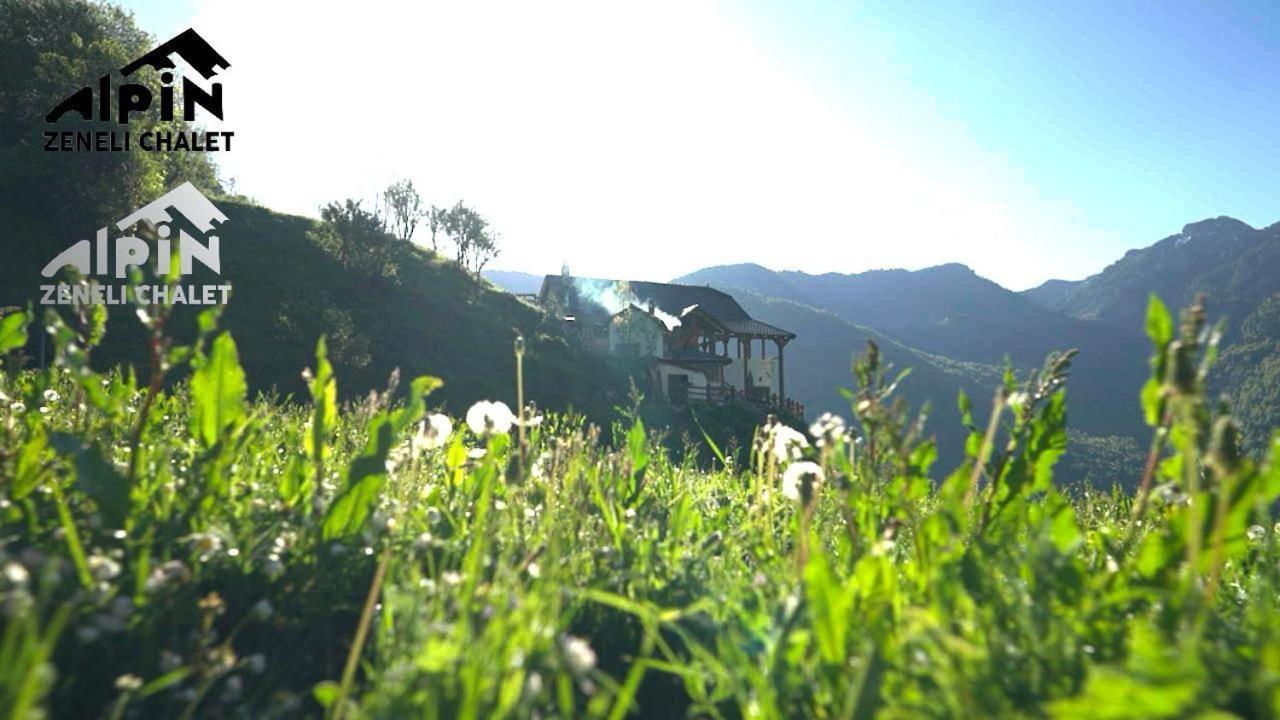 Zeneli Alpin Chalet Cerem Екстериор снимка
